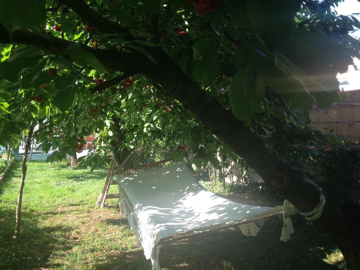 Abszolut Vendeghaz Keszthely Bagian luar foto